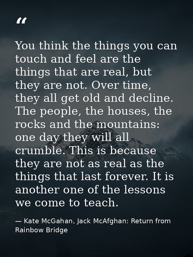 You think the things you can touch and feel are the things that are real, but they are not. Over time, they all get old  — Kate McGahan, Jack McAfghan: Return from Rainbow Bridge