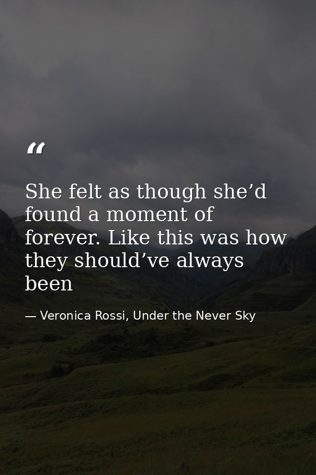 She felt as though she’d found a moment of forever. Like this was how they should’ve always been — Veronica Rossi, Under the Never Sky