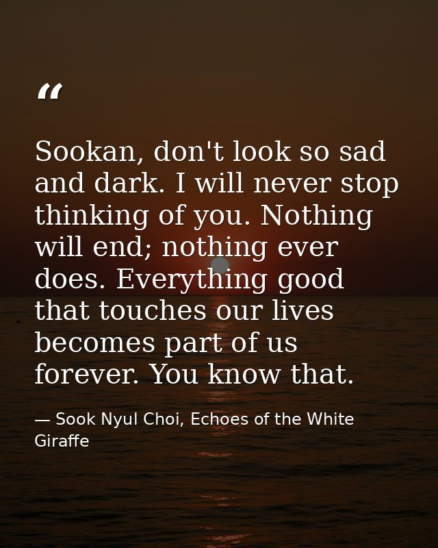 Sookan, don't look so sad and dark. I will never stop thinking of you. Nothing will end; nothing ever does. Everything g — Sook Nyul Choi, Echoes of the White Giraffe