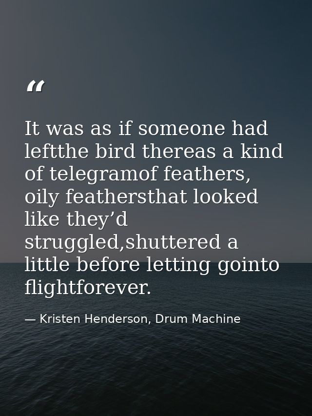 It was as if someone had leftthe bird thereas a kind of telegramof feathers, oily feathersthat looked like they’d strugg — Kristen Henderson, Drum Machine