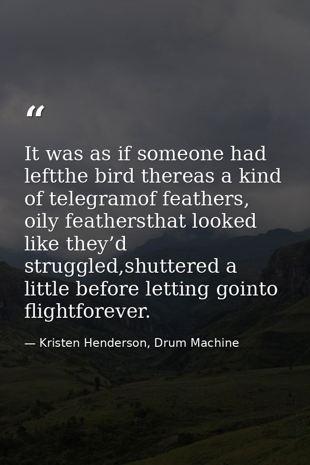 It was as if someone had leftthe bird thereas a kind of telegramof feathers, oily feathersthat looked like they’d strugg — Kristen Henderson, Drum Machine