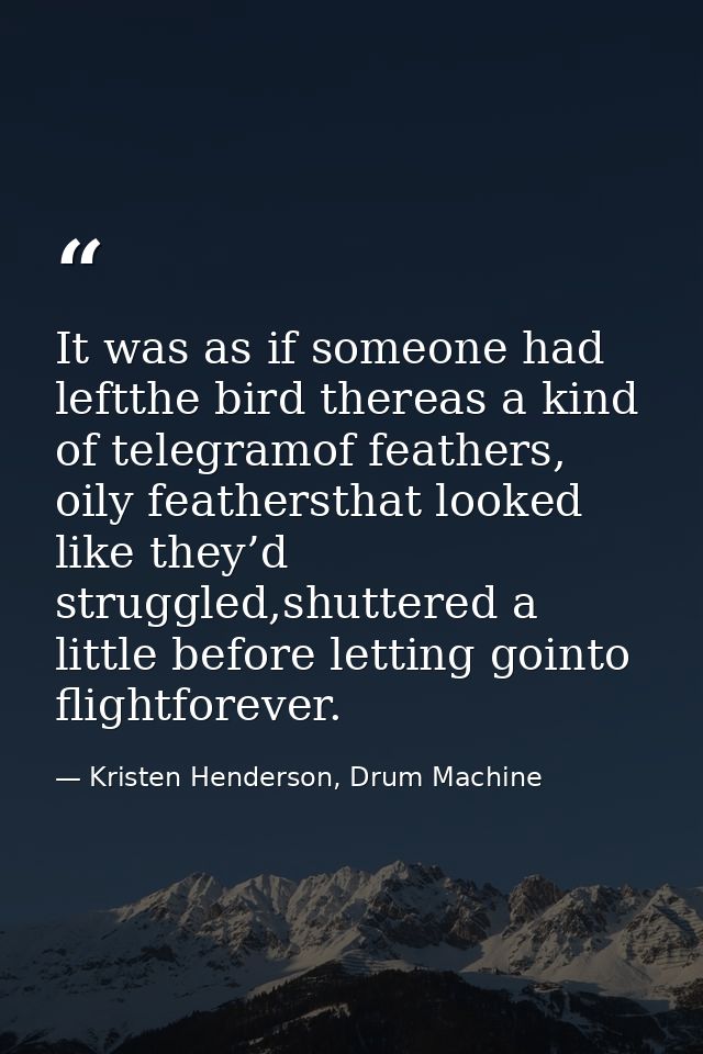 It was as if someone had leftthe bird thereas a kind of telegramof feathers, oily feathersthat looked like they’d strugg — Kristen Henderson, Drum Machine