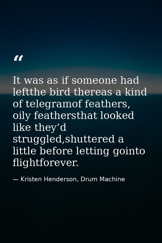 It was as if someone had leftthe bird thereas a kind of telegramof feathers, oily feathersthat looked like they’d strugg — Kristen Henderson, Drum Machine