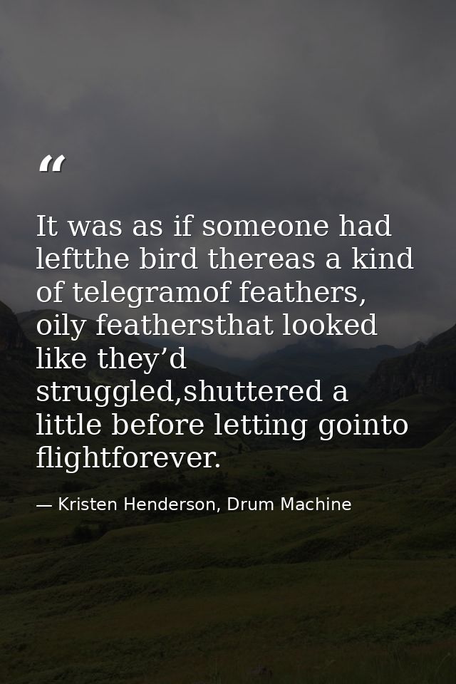 It was as if someone had leftthe bird thereas a kind of telegramof feathers, oily feathersthat looked like they’d strugg — Kristen Henderson, Drum Machine