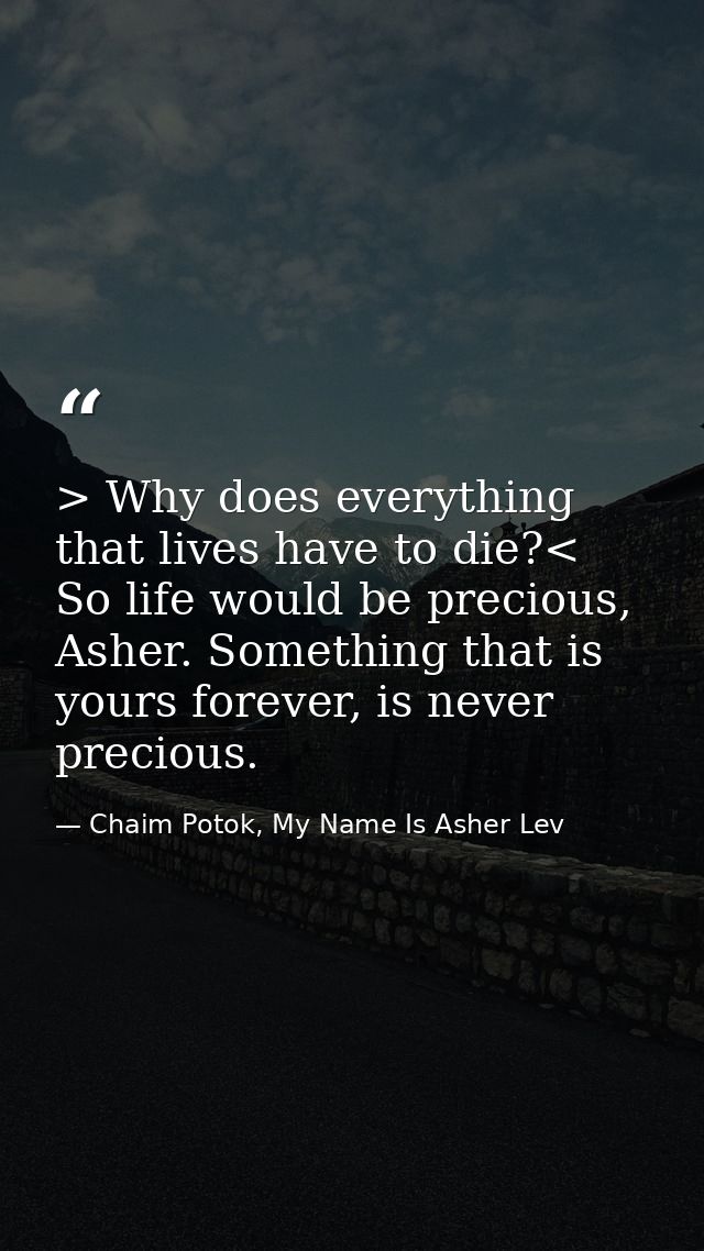 > Why does everything that lives have to die?< So life would be precious, Asher. Something that is yours forever, is nev — Chaim Potok, My Name Is Asher Lev