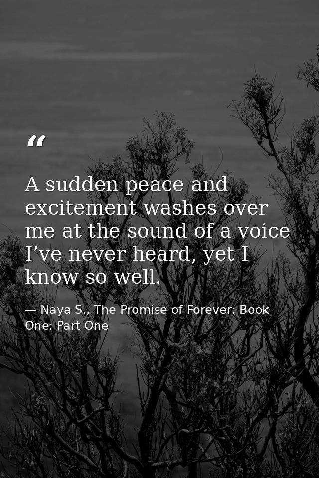 A sudden peace and excitement washes over me at the sound of a voice I’ve never heard, yet I know so well. — Naya S., The Promise of Forever: Book One: Part One