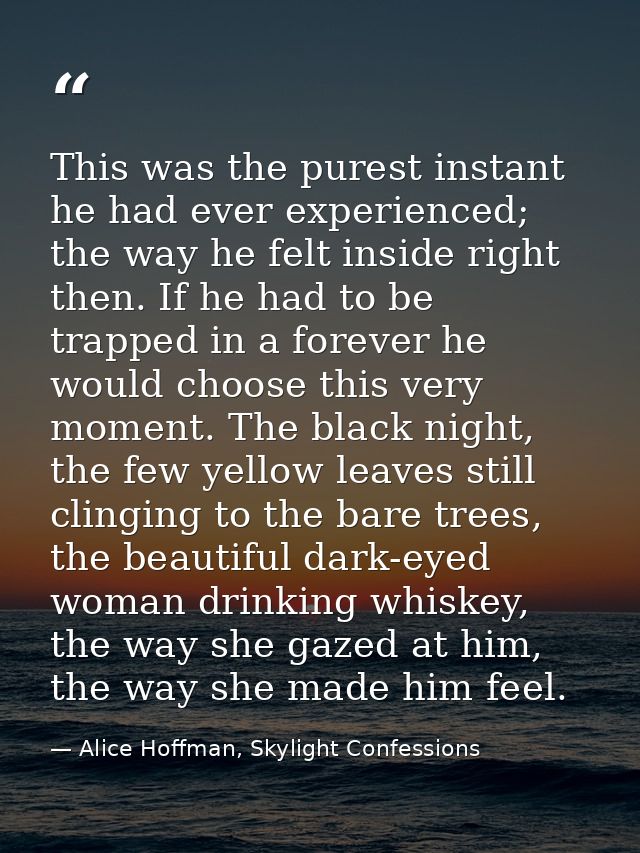 This was the purest instant he had ever experienced; the way he felt inside right then. If he had to be trapped in a for — Alice Hoffman, Skylight Confessions
