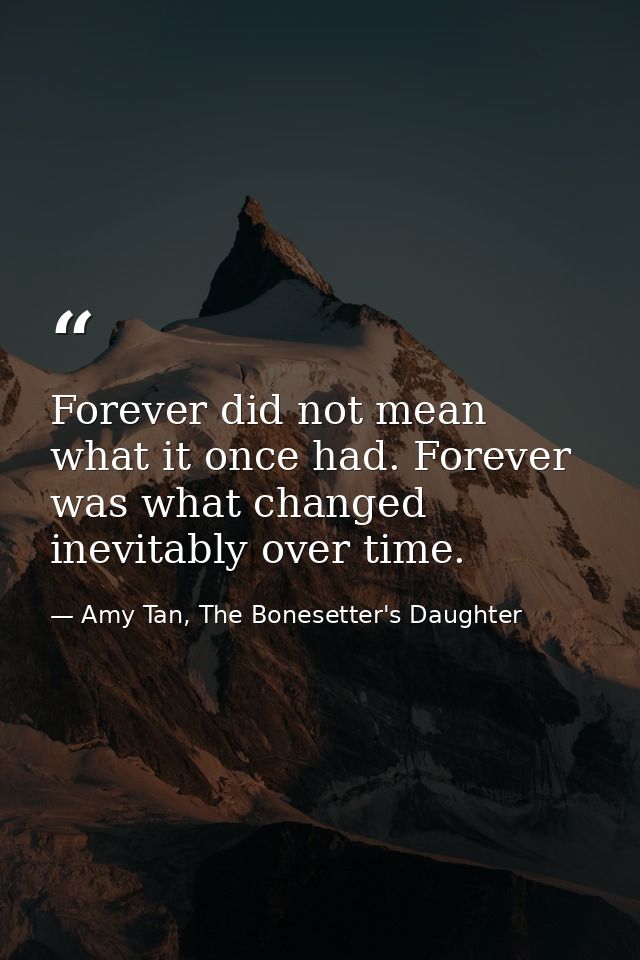 Forever did not mean what it once had. Forever was what changed inevitably over time. — Amy Tan, The Bonesetter's Daughter
