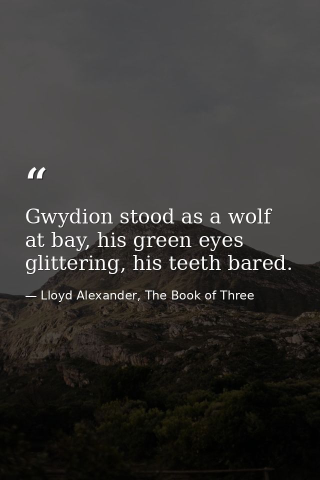 Gwydion stood as a wolf at bay, his green eyes glittering, his teeth bared. — Lloyd Alexander, The Book of Three