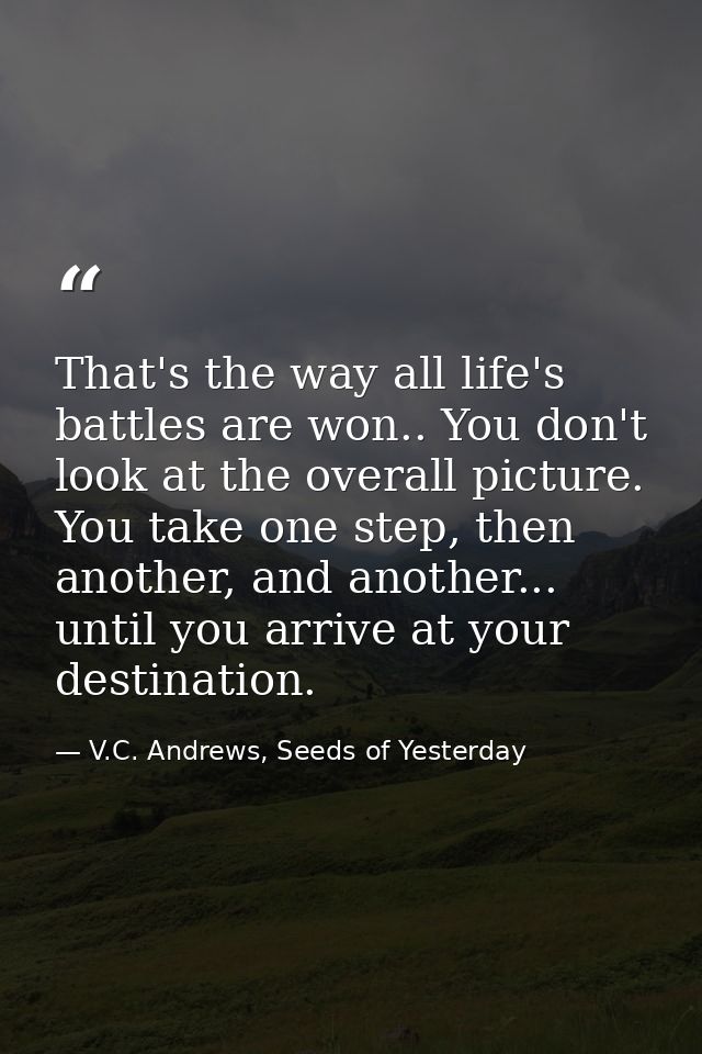 That's the way all life's battles are won.. You don't look at the overall picture. You take one step, then another, and  — V.C. Andrews, Seeds of Yesterday