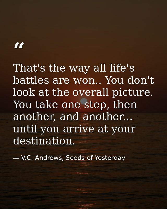 That's the way all life's battles are won.. You don't look at the overall picture. You take one step, then another, and  — V.C. Andrews, Seeds of Yesterday
