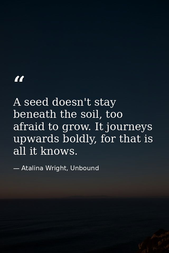 A seed doesn't stay beneath the soil, too afraid to grow. It journeys upwards boldly, for that is all it knows. — Atalina Wright, Unbound