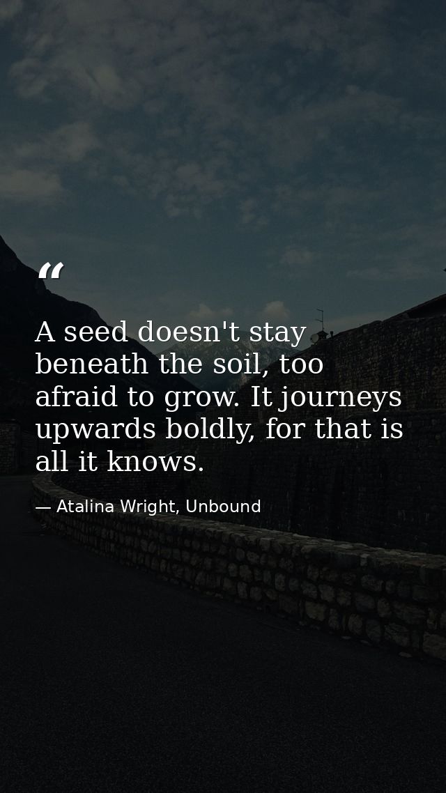 A seed doesn't stay beneath the soil, too afraid to grow. It journeys upwards boldly, for that is all it knows. — Atalina Wright, Unbound
