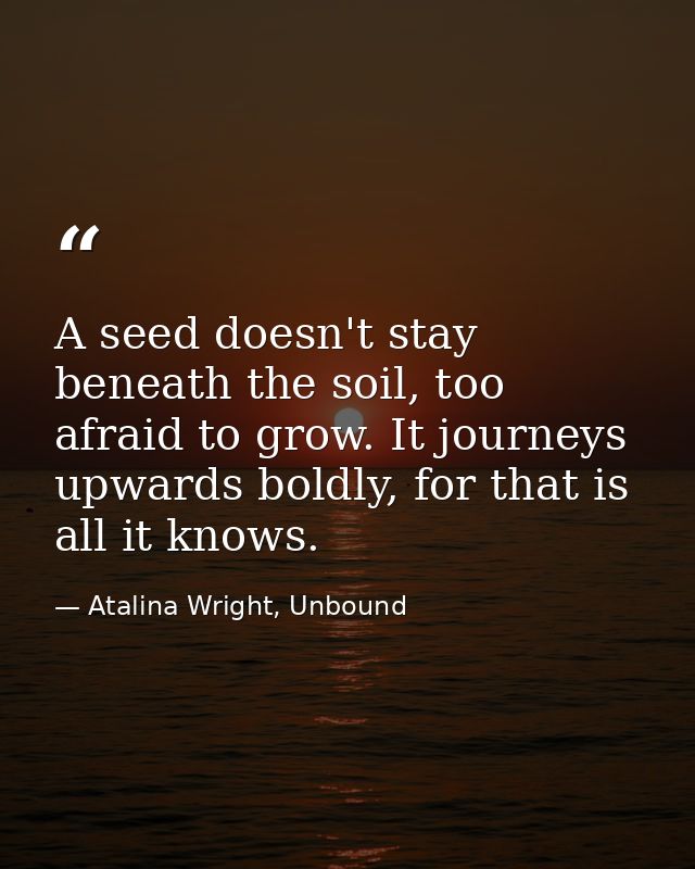 A seed doesn't stay beneath the soil, too afraid to grow. It journeys upwards boldly, for that is all it knows. — Atalina Wright, Unbound