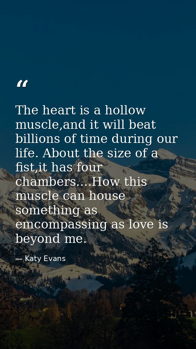 The heart is a hollow muscle,and it will beat billions of time during our life. About the size of a fist,it has four cha — Katy Evans