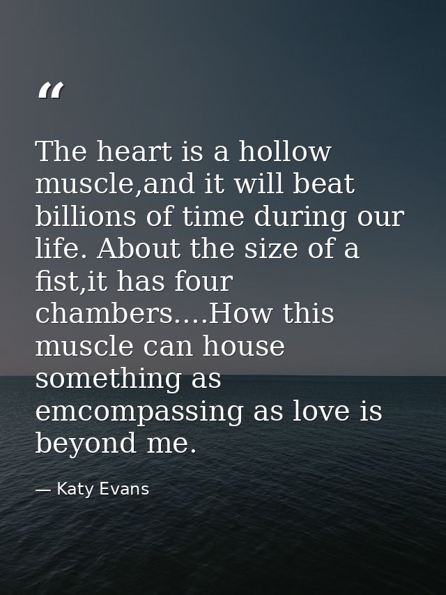 The heart is a hollow muscle,and it will beat billions of time during our life. About the size of a fist,it has four cha — Katy Evans
