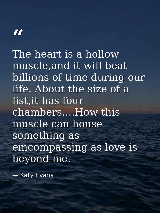 The heart is a hollow muscle,and it will beat billions of time during our life. About the size of a fist,it has four cha — Katy Evans