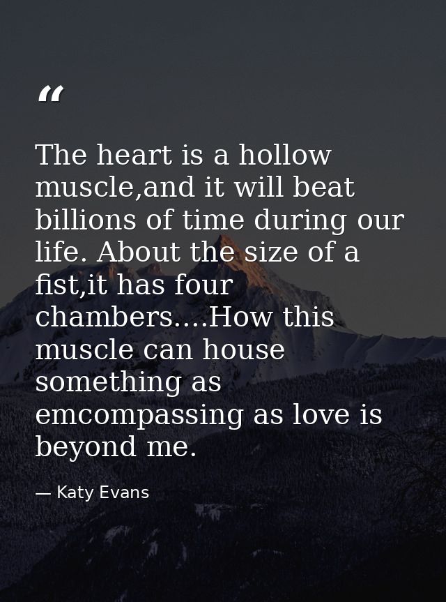 The heart is a hollow muscle,and it will beat billions of time during our life. About the size of a fist,it has four cha — Katy Evans
