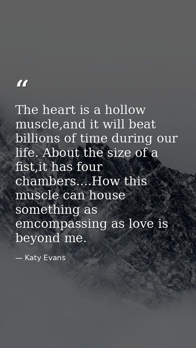 The heart is a hollow muscle,and it will beat billions of time during our life. About the size of a fist,it has four cha — Katy Evans