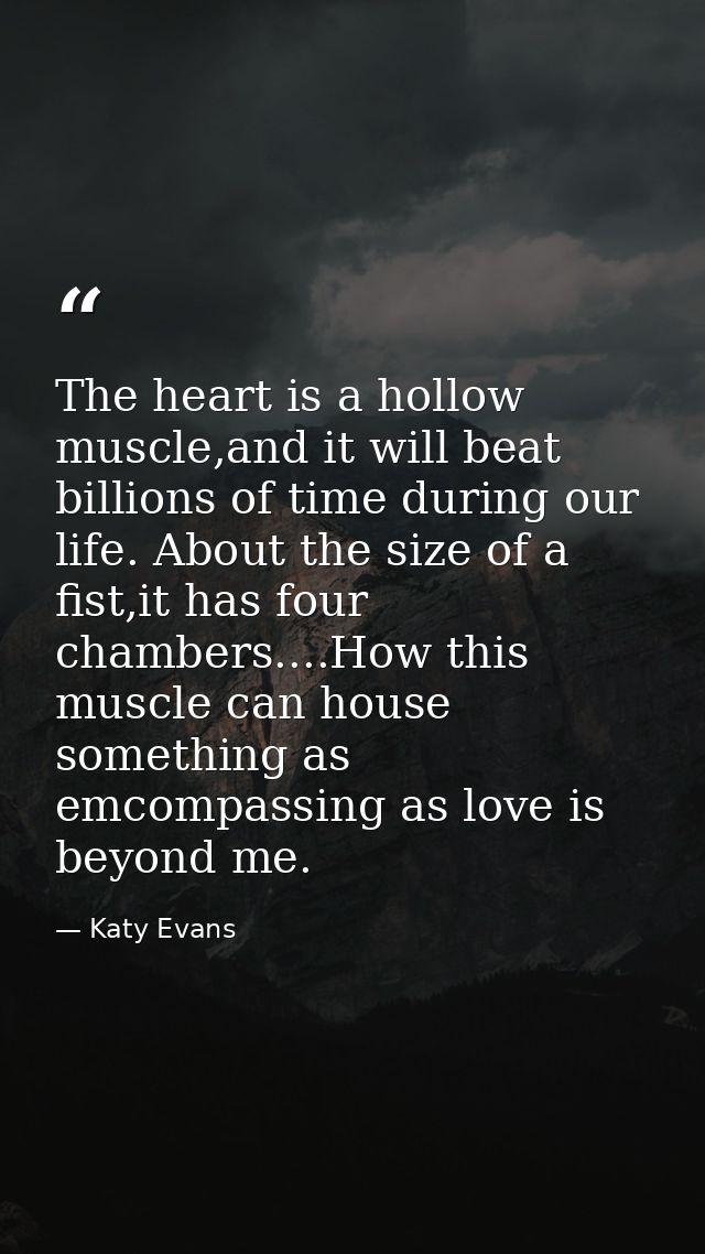 The heart is a hollow muscle,and it will beat billions of time during our life. About the size of a fist,it has four cha — Katy Evans