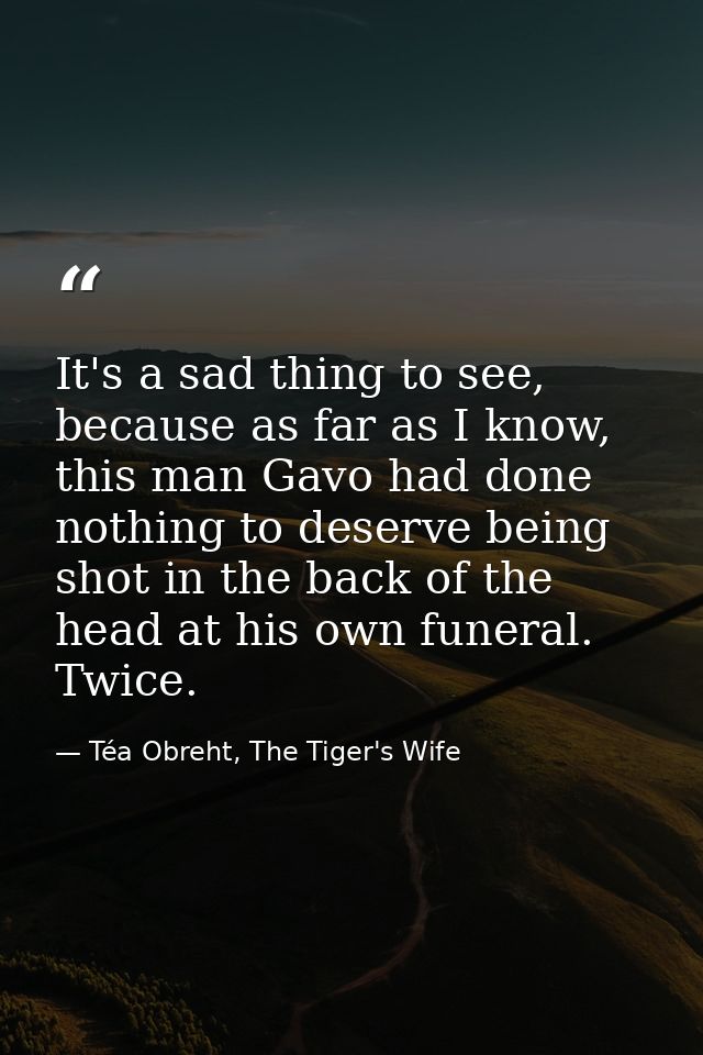 It's a sad thing to see, because as far as I know, this man Gavo had done nothing to deserve being shot in the back of t — Téa Obreht, The Tiger's Wife