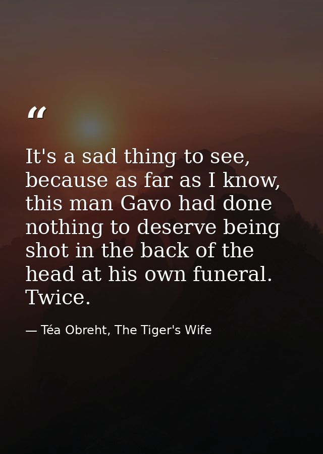 It's a sad thing to see, because as far as I know, this man Gavo had done nothing to deserve being shot in the back of t — Téa Obreht, The Tiger's Wife