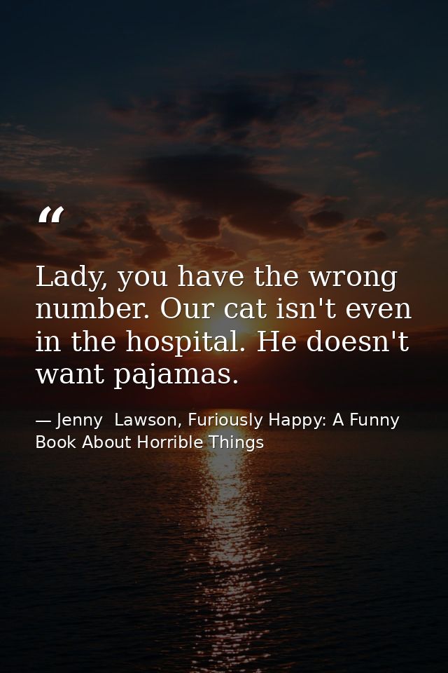 Lady, you have the wrong number. Our cat isn't even in the hospital. He doesn't want pajamas. — Jenny  Lawson, Furiously Happy: A Funny Book About Horrible Things