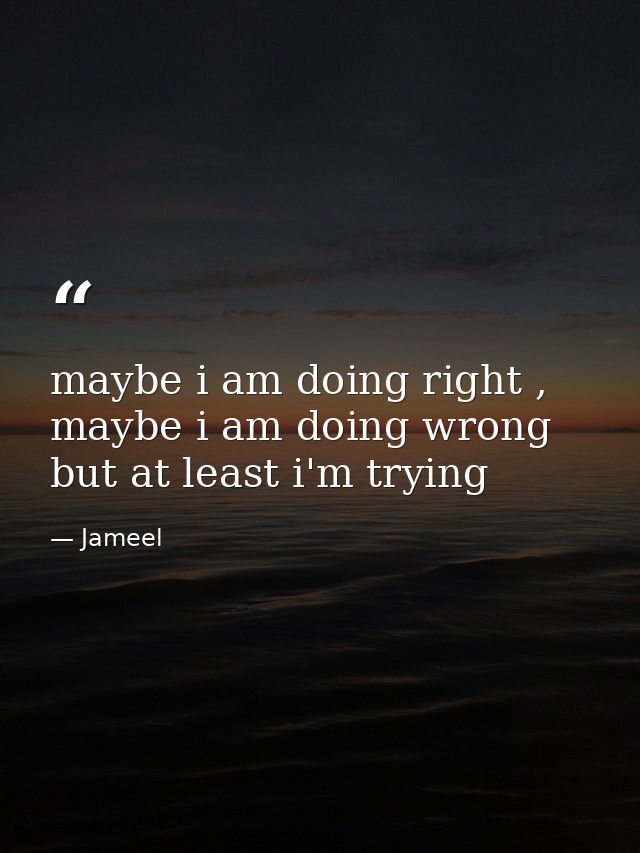 maybe i am doing right , maybe i am doing wrong but at least i'm trying — Jameel