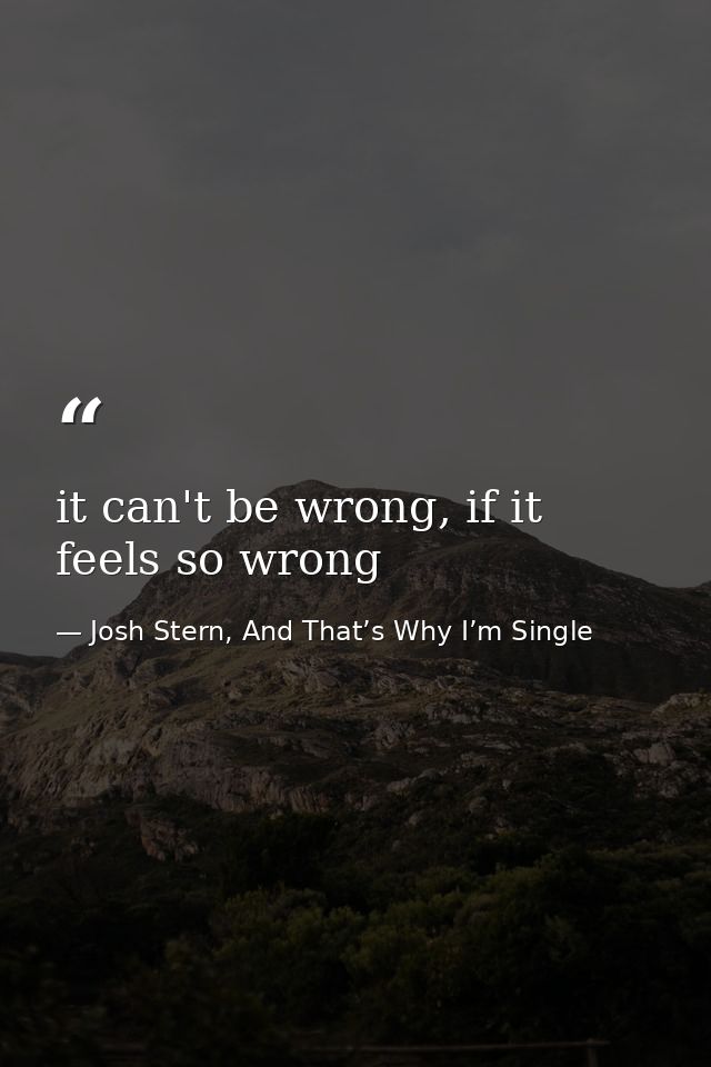 it can't be wrong, if it feels so wrong — Josh Stern, And That’s Why I’m Single