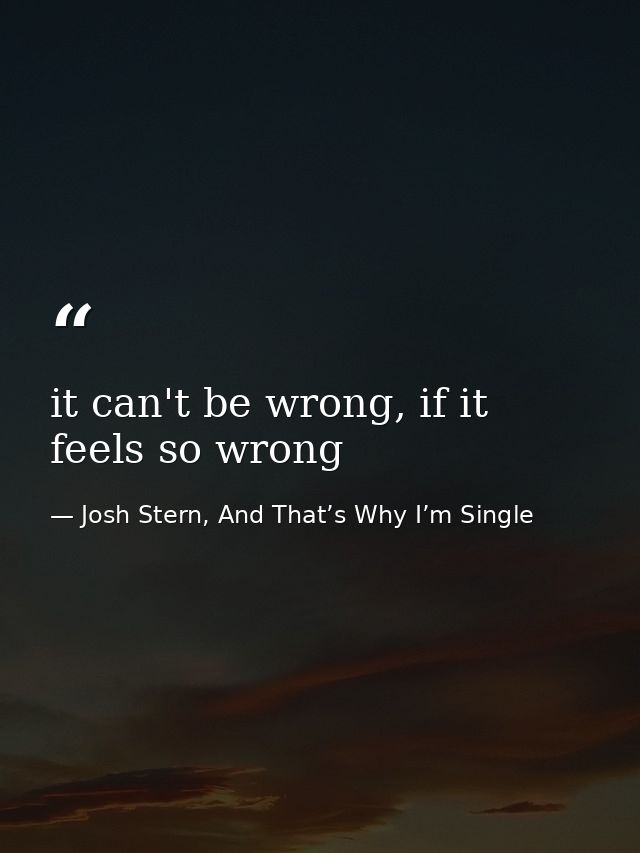 it can't be wrong, if it feels so wrong — Josh Stern, And That’s Why I’m Single
