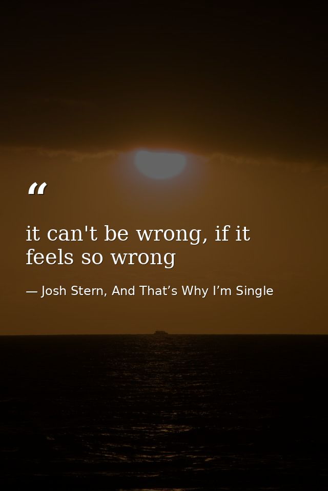 it can't be wrong, if it feels so wrong — Josh Stern, And That’s Why I’m Single