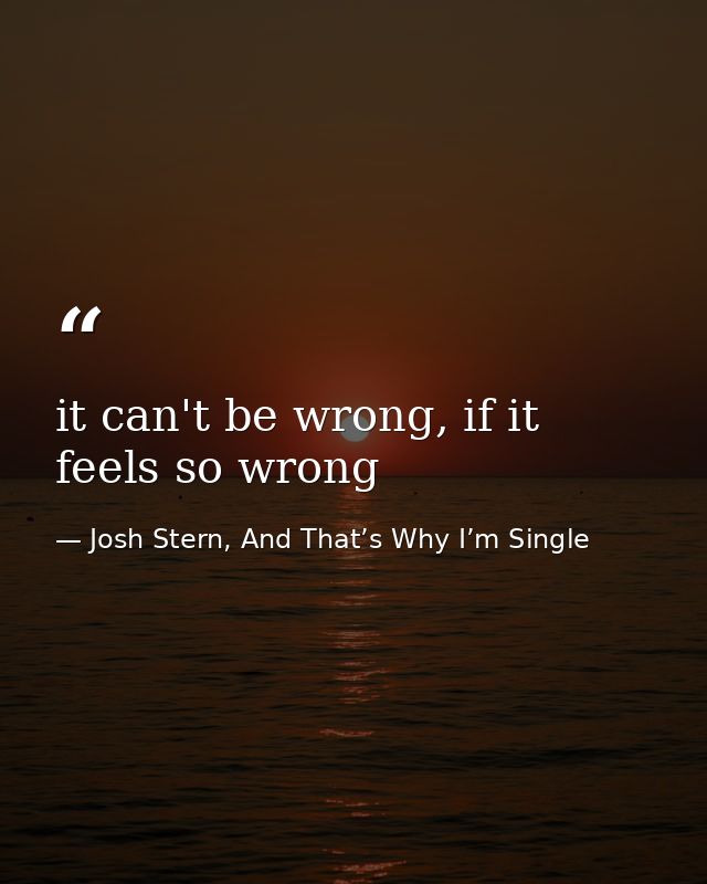 it can't be wrong, if it feels so wrong — Josh Stern, And That’s Why I’m Single