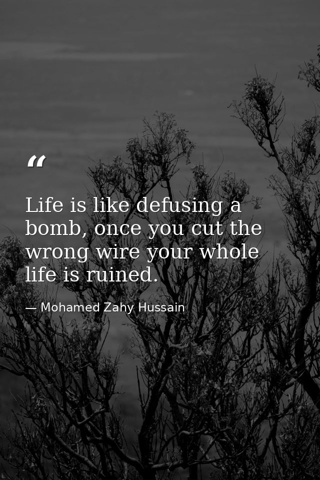 Life is like defusing a bomb, once you cut the wrong wire your whole life is ruined. — Mohamed Zahy Hussain