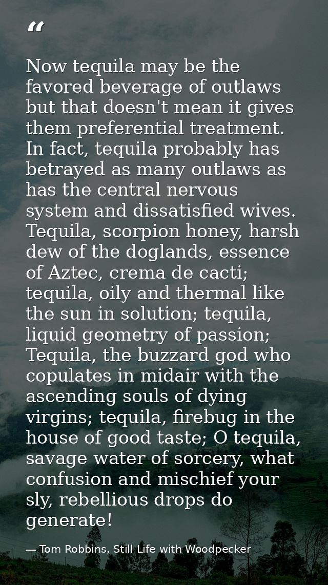 Now tequila may be the favored beverage of outlaws but that doesn't mean it gives them preferential treatment. In fact,  — Tom Robbins, Still Life with Woodpecker