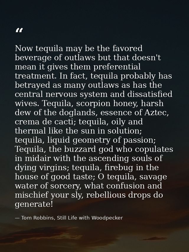 Now tequila may be the favored beverage of outlaws but that doesn't mean it gives them preferential treatment. In fact,  — Tom Robbins, Still Life with Woodpecker