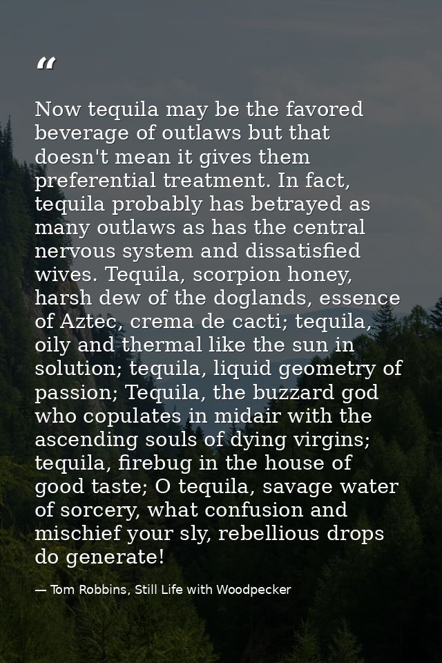 Now tequila may be the favored beverage of outlaws but that doesn't mean it gives them preferential treatment. In fact,  — Tom Robbins, Still Life with Woodpecker