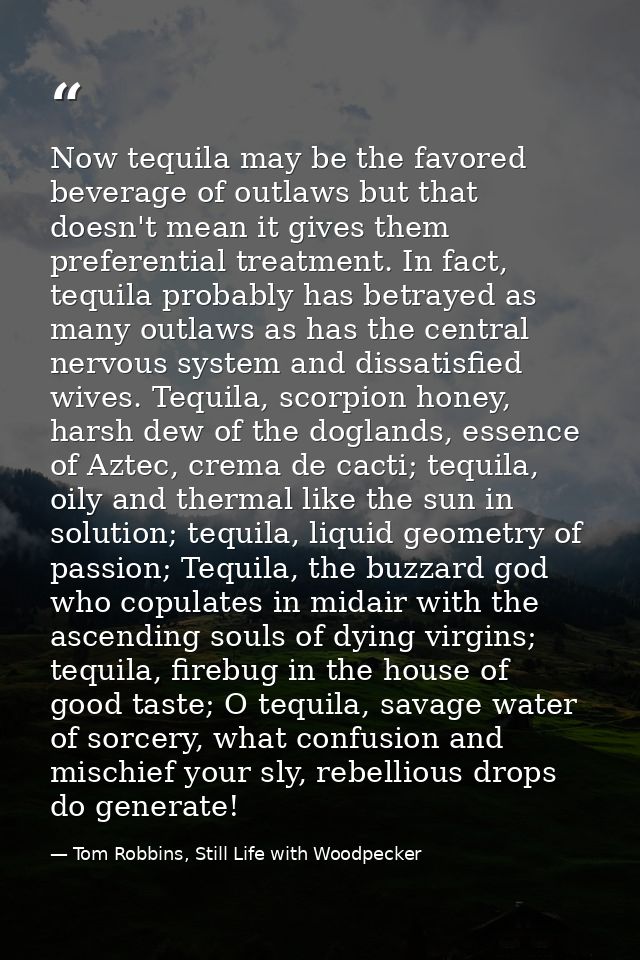 Now tequila may be the favored beverage of outlaws but that doesn't mean it gives them preferential treatment. In fact,  — Tom Robbins, Still Life with Woodpecker