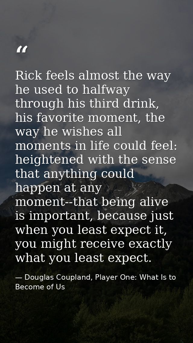 Rick feels almost the way he used to halfway through his third drink, his favorite moment, the way he wishes all moments — Douglas Coupland, Player One: What Is to Become of Us