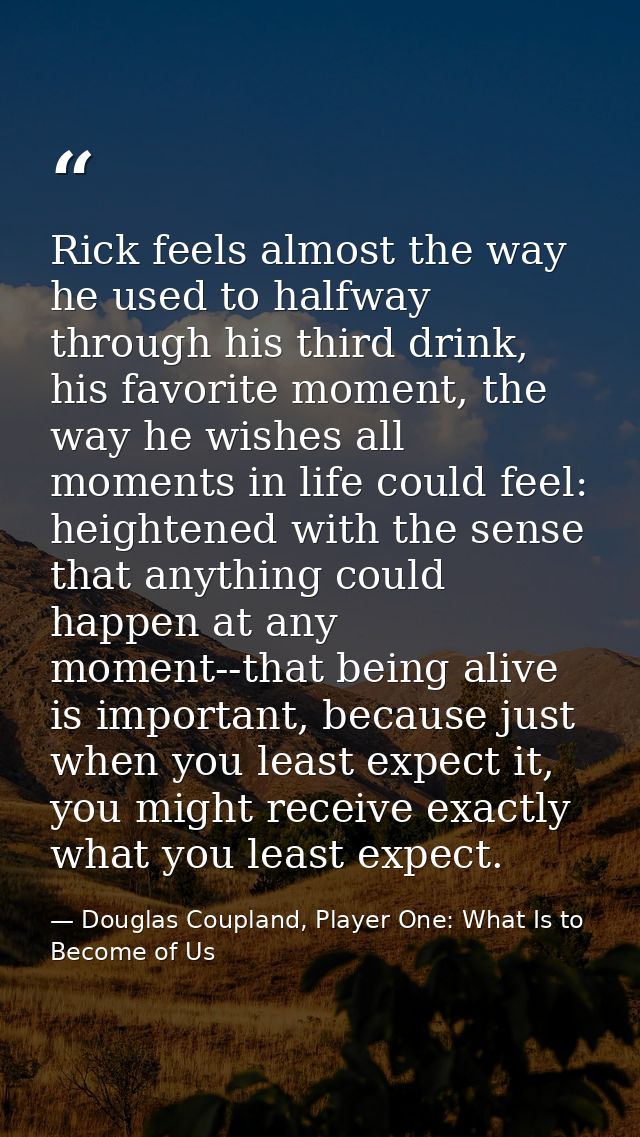 Rick feels almost the way he used to halfway through his third drink, his favorite moment, the way he wishes all moments — Douglas Coupland, Player One: What Is to Become of Us