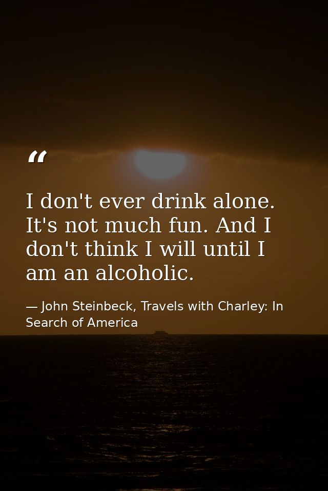 I don't ever drink alone. It's not much fun. And I don't think I will until I am an alcoholic. — John Steinbeck, Travels with Charley: In Search of America