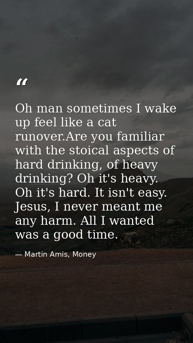 Oh man sometimes I wake up feel like a cat runover.Are you familiar with the stoical aspects of hard drinking, of heavy  — Martin Amis, Money