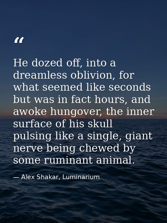 He dozed off, into a dreamless oblivion, for what seemed like seconds but was in fact hours, and awoke hungover, the inn — Alex Shakar, Luminarium