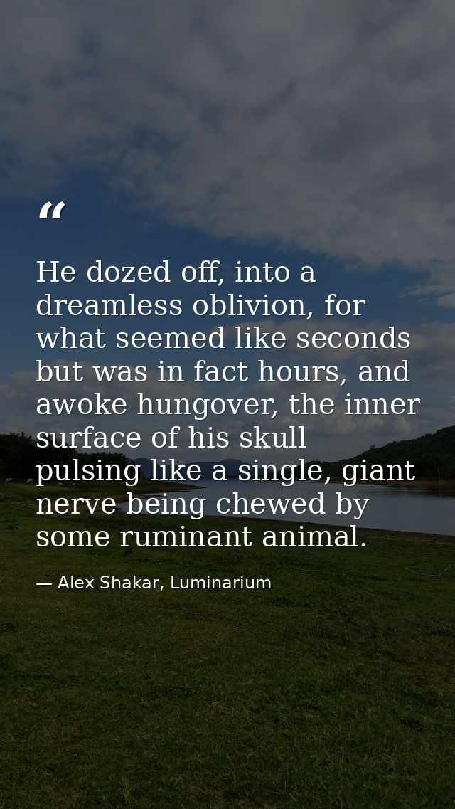 He dozed off, into a dreamless oblivion, for what seemed like seconds but was in fact hours, and awoke hungover, the inn — Alex Shakar, Luminarium