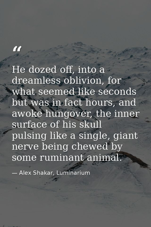 He dozed off, into a dreamless oblivion, for what seemed like seconds but was in fact hours, and awoke hungover, the inn — Alex Shakar, Luminarium