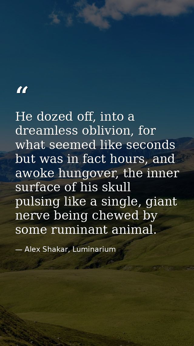 He dozed off, into a dreamless oblivion, for what seemed like seconds but was in fact hours, and awoke hungover, the inn — Alex Shakar, Luminarium
