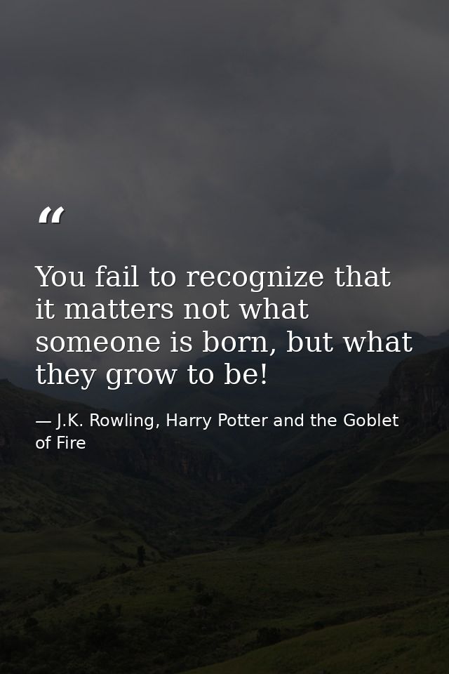 You fail to recognize that it matters not what someone is born, but what they grow to be! — J.K. Rowling, Harry Potter and the Goblet of Fire