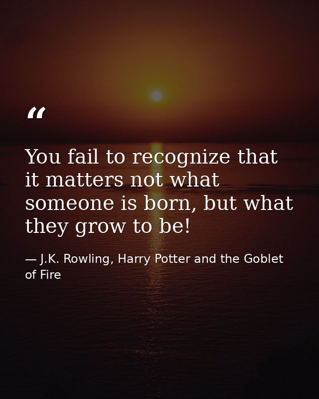 You fail to recognize that it matters not what someone is born, but what they grow to be! — J.K. Rowling, Harry Potter and the Goblet of Fire