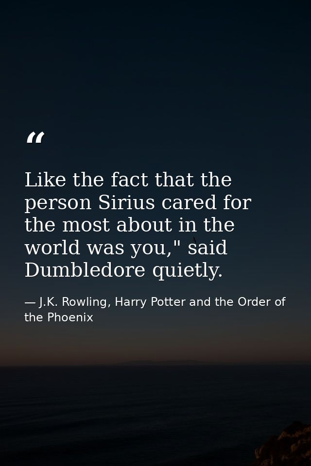 Like the fact that the person Sirius cared for the most about in the world was you," said Dumbledore quietly. — J.K. Rowling, Harry Potter and the Order of the Phoenix