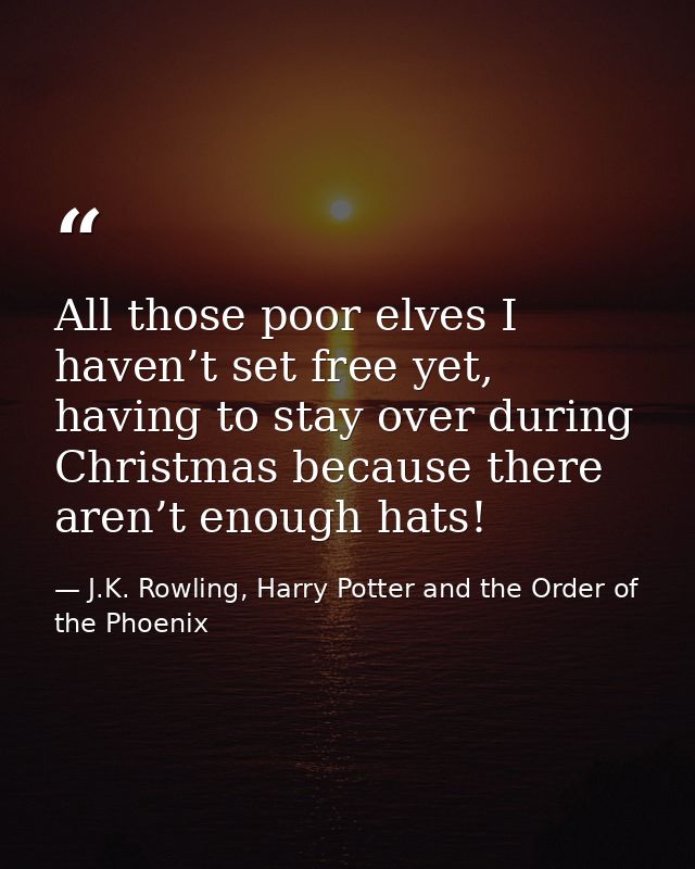 All those poor elves I haven’t set free yet, having to stay over during Christmas because there aren’t enough hats! — J.K. Rowling, Harry Potter and the Order of the Phoenix