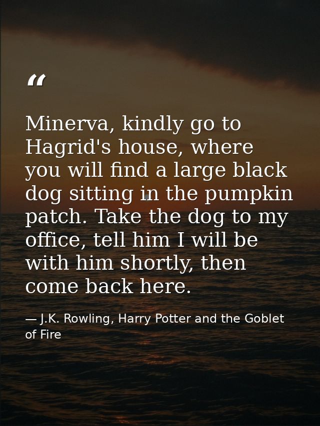 Minerva, kindly go to Hagrid's house, where you will find a large black dog sitting in the pumpkin patch. Take the dog t — J.K. Rowling, Harry Potter and the Goblet of Fire